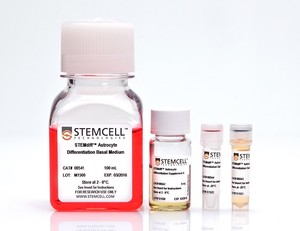 STEMdiff Astrocyte Diff Supplement A