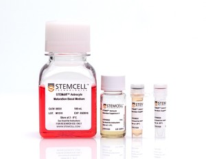 STEMdiff Astrocyte Maturation Supp A