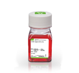 0.25% Trypsin-EDTA (1X), Phenol Red