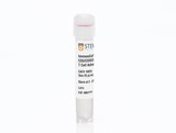 ImmunoCult HuCD3/CD28/CD2 TCellAct, 2mL
