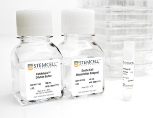 Cell Adhere Dilution Buffer