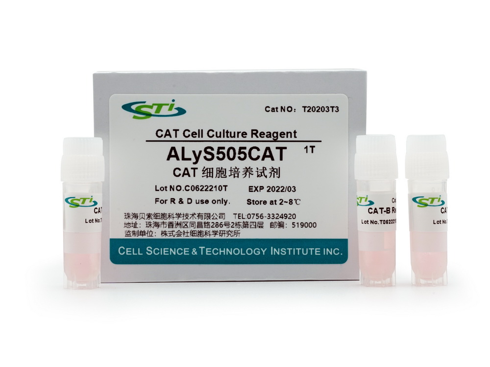 CAT细胞培养试剂 ALyS505CAT