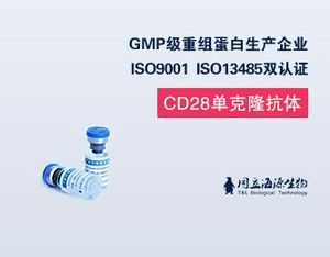 抗人CD28單克隆抗體（Anti-human CD28 Mab）