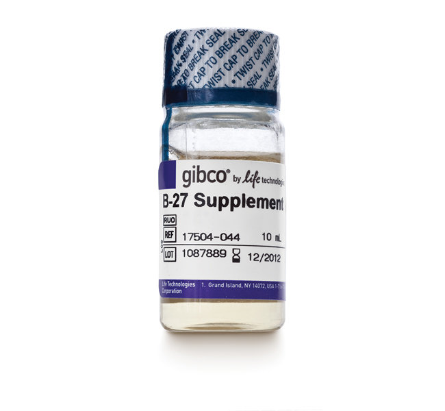 B-27® Serum-Free Supplement (50X), Liquid