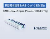 重组SARS-CoV-2 S蛋白RBD(Fc Tag)