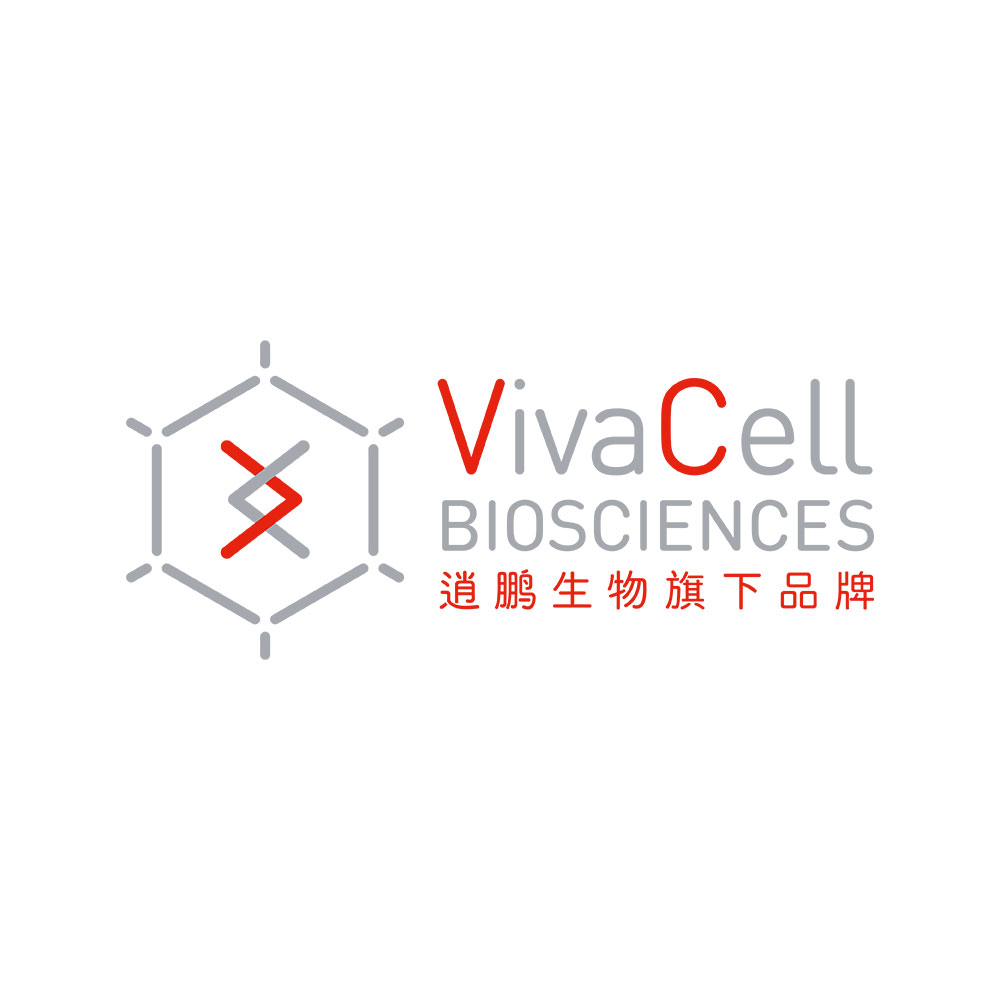 VC-ECL Kit HRP化学发光增强试剂盒