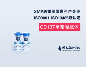 抗人CD137单克隆抗体