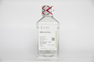 α-MEM（含谷氨酰胺，无酚红）
