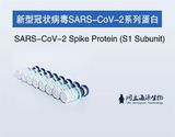 重组SARS-CoV-2棘突蛋白(S1亚基)