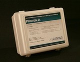 Protein A ELISA Kit