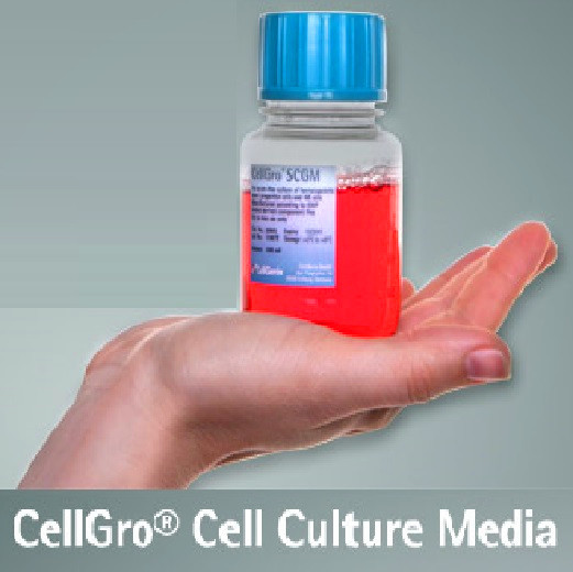 CellGro® Activin A recombinant human Activin A