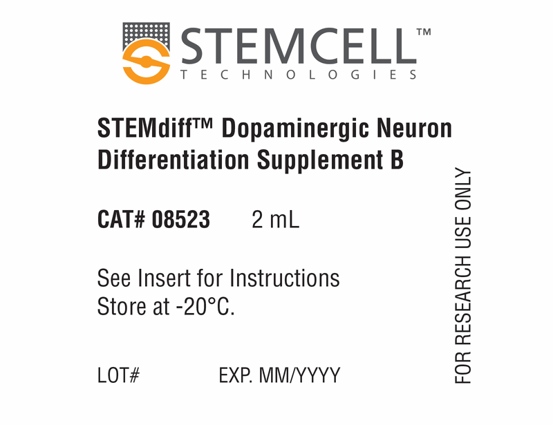 STEMdiff Dopaminergic Diff Supplement B